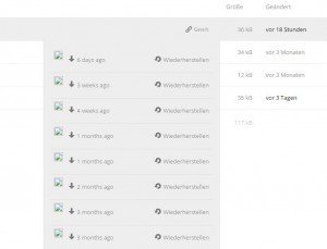 Owncloud Versionisierung